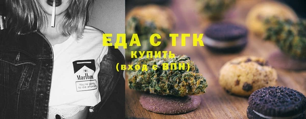 spice Дмитриев