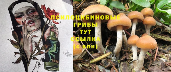 spice Абдулино