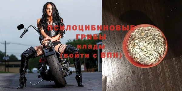 прущие крисы Абинск