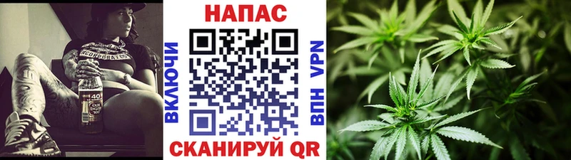 Канабис Bruce Banner  Яблоновский 